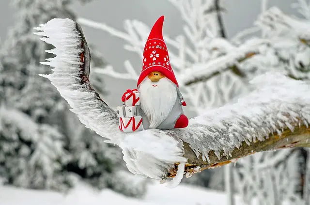 雪の積もった枝に座るノーム人形