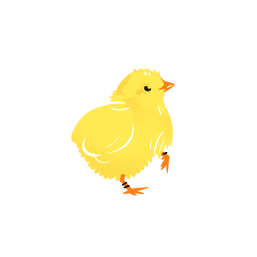 追いかける小さなひよこ