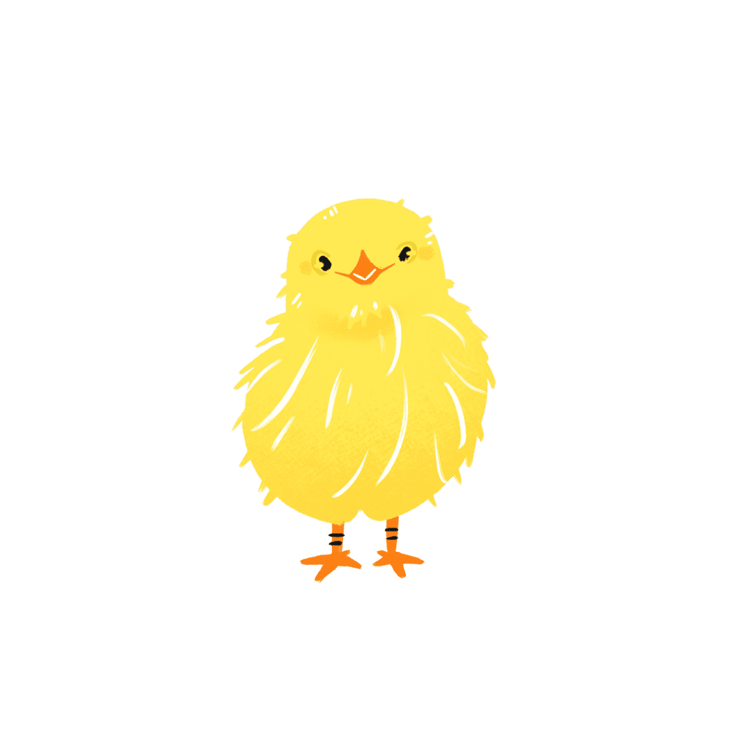 正面ひよこ
