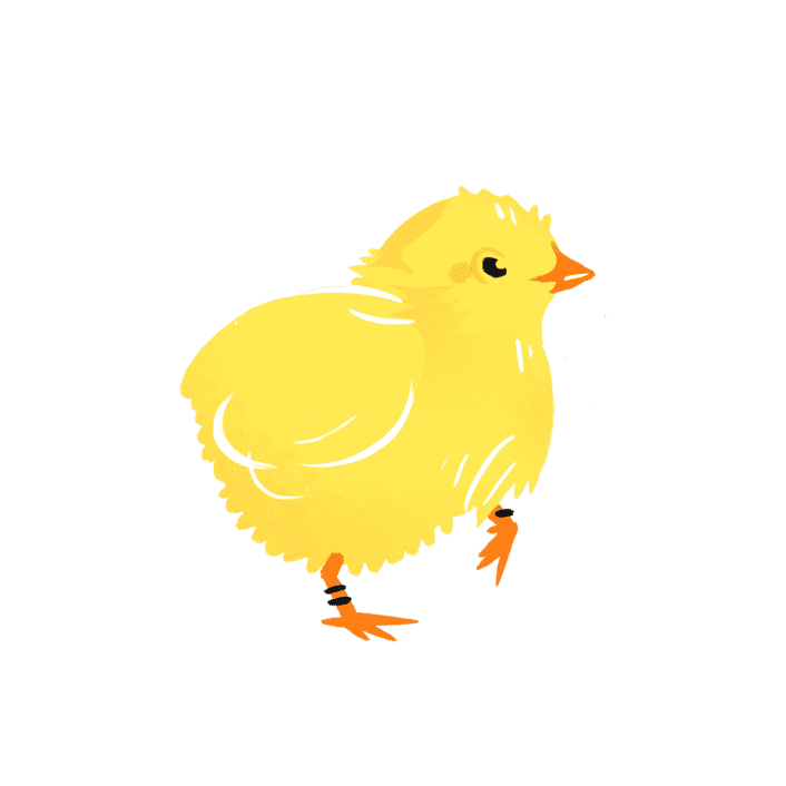 横向きひよこ
